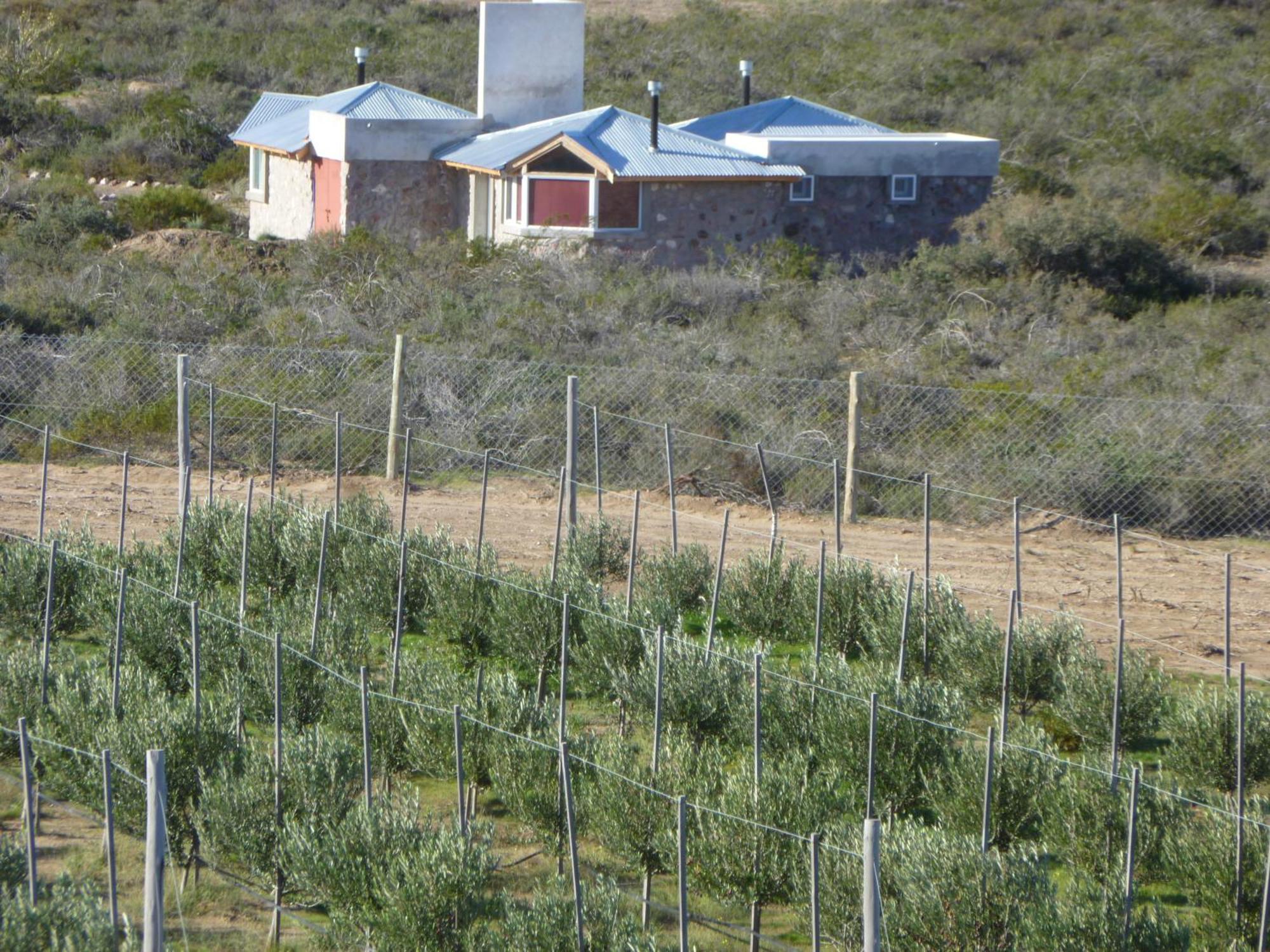 La Calandria Casa De Campo Villa Puerto Madryn Exterior photo